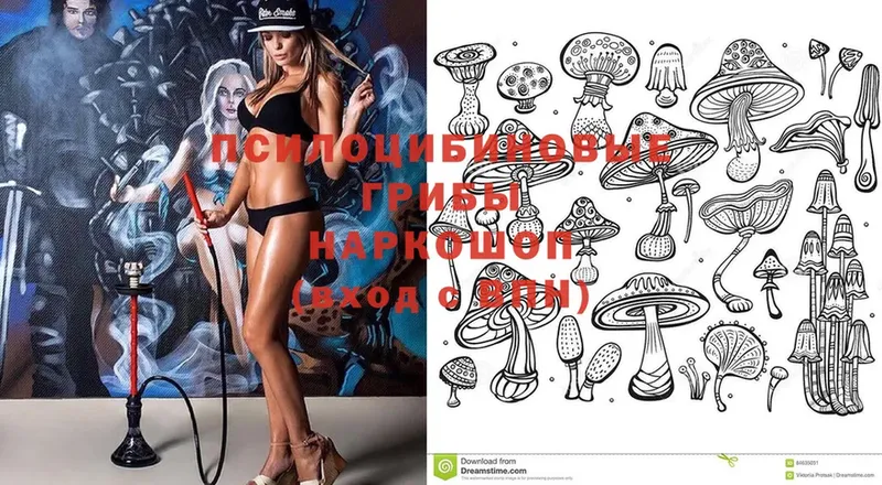 Галлюциногенные грибы Psilocybe  mega зеркало  Мичуринск 